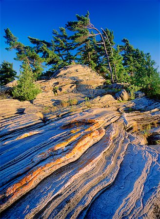 Bäume und Felsen Stockbilder - Lizenzpflichtiges, Bildnummer: 700-00099507