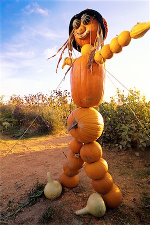 espantalho - Pumpkin Scarecrow Foto de stock - Direito Controlado, Número: 700-00099878