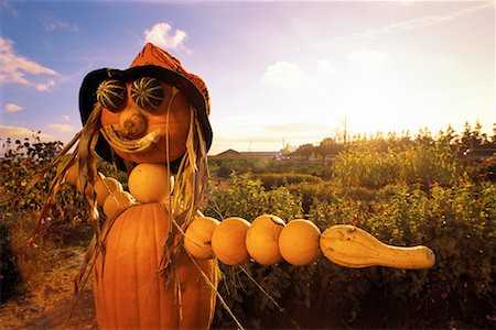 espantalho - Pumpkin Scarecrow Foto de stock - Direito Controlado, Número: 700-00099879