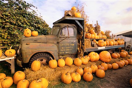 simsearch:700-00099882,k - Pumpkins on Old Truck Stock Photo - Rights-Managed, Code: 700-00099885