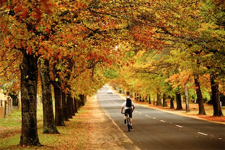 Road in Autumn Stock Photo - Rights-Managed, Code: 700-00090826