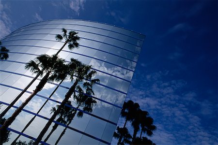 palm tree and office - Office Building, Florida Stock Photo - Rights-Managed, Code: 700-00092366