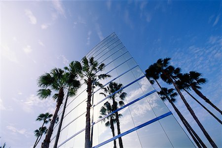 palm tree and office - Office Building, Florida Stock Photo - Rights-Managed, Code: 700-00092367