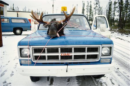 Antlers on Hood of Truck James Bay, Quebec, Canada Fotografie stock - Rights-Managed, Codice: 700-00093000