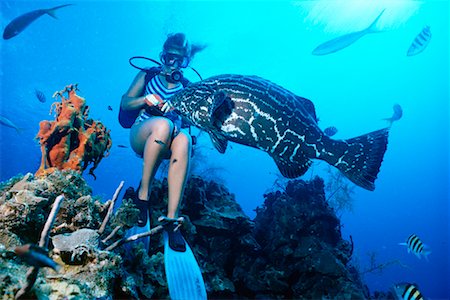 submarinista (mujer) - Scuba Diver Feeding Grouper Foto de stock - Con derechos protegidos, Código: 700-00093012