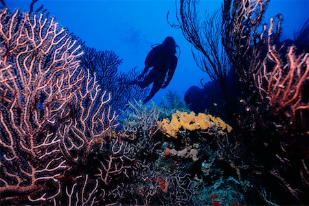 deep sea diver - Scuba Diver Stock Photo - Rights-Managed, Code: 700-00093013