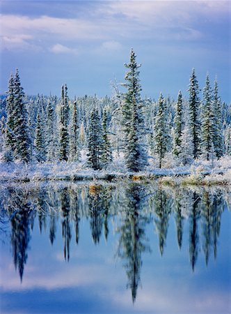 simsearch:600-00033598,k - Snow-Covered Trees by Lake Stock Photo - Rights-Managed, Code: 700-00154041