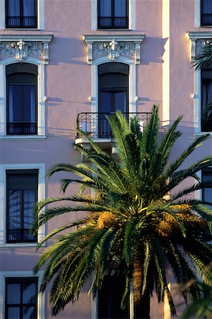 french riviera palm - Building Detail Stock Photo - Rights-Managed, Code: 700-00155437