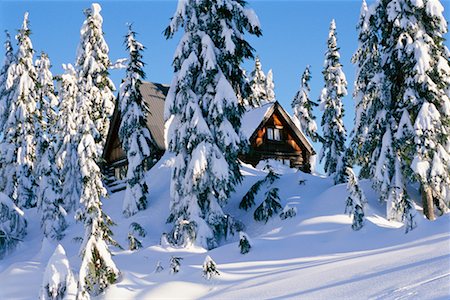 simsearch:700-06383810,k - Log Cabin Stock Photo - Rights-Managed, Code: 700-00155503