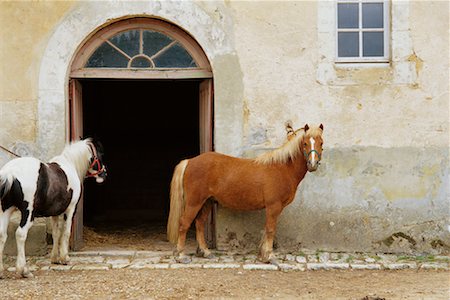 Horses by Chateau Stock Photo - Rights-Managed, Code: 700-00156094