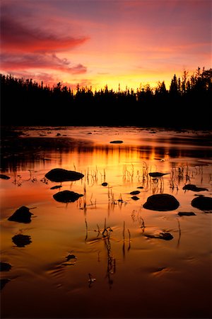 prince albert national park - River in Forest at Sunset Foto de stock - Con derechos protegidos, Código: 700-00157723