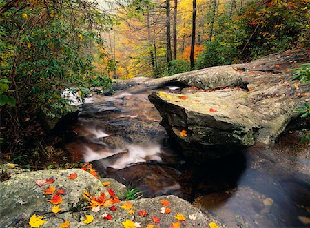 simsearch:700-06465637,k - Falling Water Cascades Creek in Autumn, Blue Ridge Parkway, Virginia, USA Foto de stock - Con derechos protegidos, Código: 700-00157949