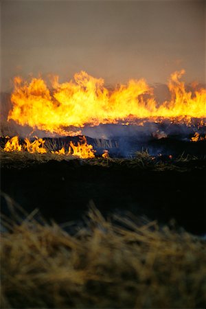 Fire Stock Photo - Rights-Managed, Code: 700-00158342