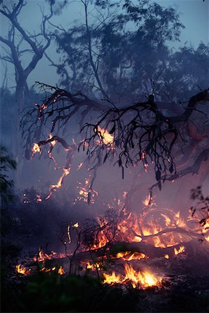 Bush Fire, Australia Foto de stock - Con derechos protegidos, Código: 700-00158435