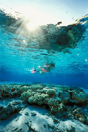 simsearch:700-00062419,k - Snorkeling near Coral Reef Foto de stock - Con derechos protegidos, Código: 700-00158922