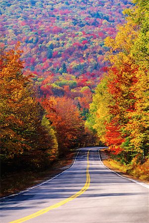 simsearch:700-06465609,k - Country Road in Autumn Fotografie stock - Rights-Managed, Codice: 700-00159985