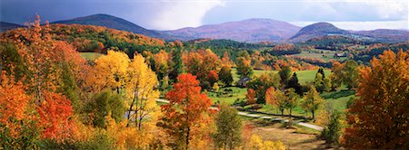 forest path panorama - Autumn Scenic, Peacham, Vermont, USA Stock Photo - Rights-Managed, Code: 700-00150055