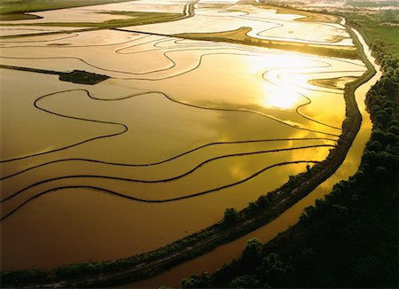 paddy field sunset - Flooded Rice Fields, Louisiana, USA Stock Photo - Rights-Managed, Code: 700-00150167