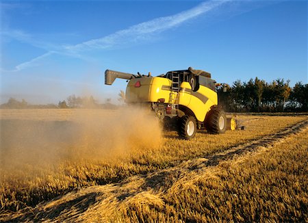 Harvesting Wheat, Shoal Lake, Manitoba, Canada Foto de stock - Con derechos protegidos, Código: 700-00150182