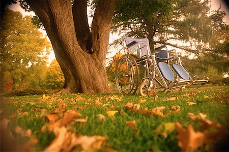 Wheelchair by Tree Stock Photo - Rights-Managed, Code: 700-00150686