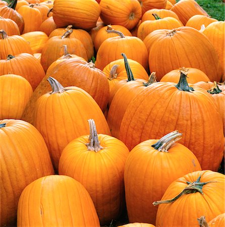 simsearch:700-00099882,k - Pumpkins Stock Photo - Rights-Managed, Code: 700-00150767