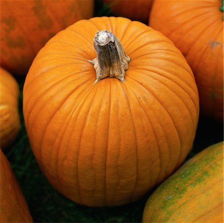 simsearch:700-00099882,k - Pumpkins Stock Photo - Rights-Managed, Code: 700-00150768