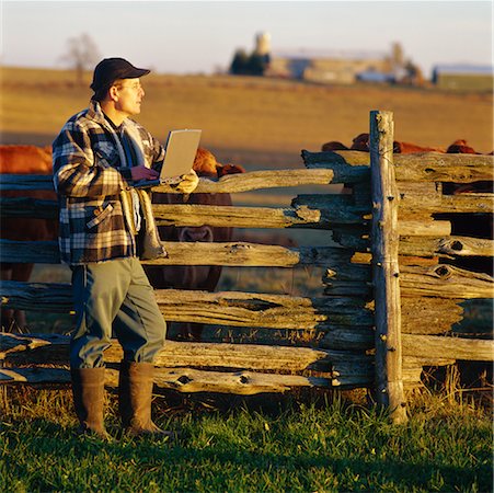 farmer with computer - Agriculteur à l'aide d'ordinateur portable Photographie de stock - Rights-Managed, Code: 700-00150870