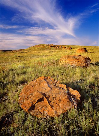 red rock coulee - Field at Red Rock Coulee Alberta, Canada Foto de stock - Con derechos protegidos, Código: 700-00151151