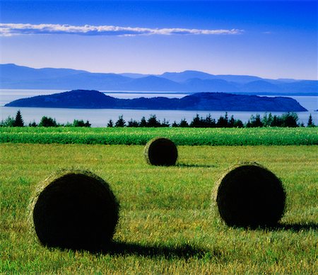 río san lorenzo - Hay Bales in Field St Lawrence River, Quebec Canada Foto de stock - Con derechos protegidos, Código: 700-00152026