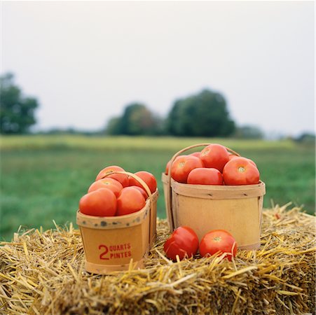 Baskets of Tomatoes Fotografie stock - Rights-Managed, Codice: 700-00152266