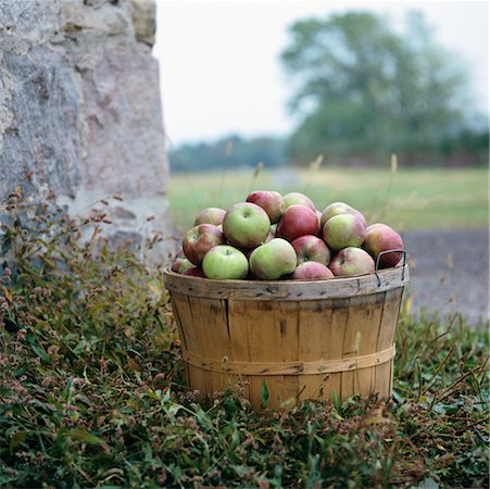 Bushel of Apples Fotografie stock - Rights-Managed, Codice: 700-00152267