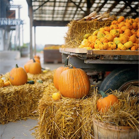 Variety of Pumpkins Fotografie stock - Rights-Managed, Codice: 700-00152270