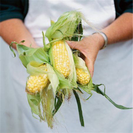 Woman's Hands Holding Corn Cobs Fotografie stock - Rights-Managed, Codice: 700-00152271