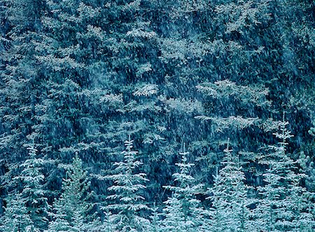 simsearch:700-00152861,k - Schneefall über Wald Stockbilder - Lizenzpflichtiges, Bildnummer: 700-00152877
