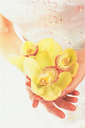 simsearch:700-00748140,k - Close-up of Woman Holding a Bouquet Stock Photo - Rights-Managed, Code: 700-00153335