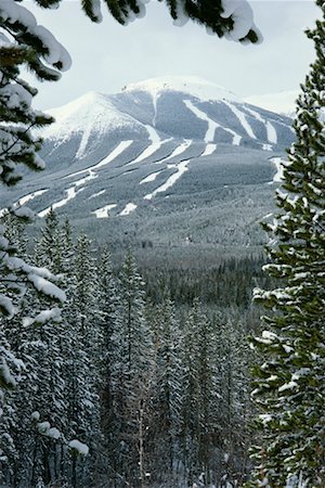 ski trail - Mount Allan Alberta, Canada Stock Photo - Rights-Managed, Code: 700-00164057