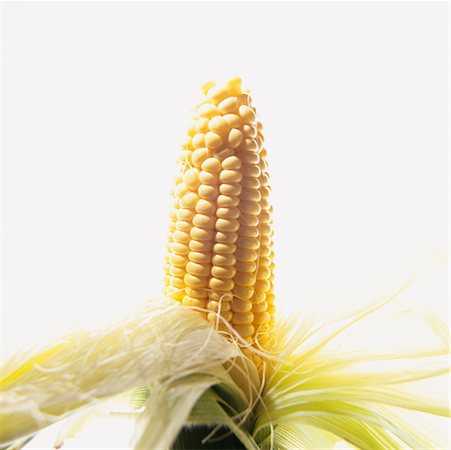 scartocciatura del granturco - Close-Up of Corn on the Cob Fotografie stock - Rights-Managed, Codice: 700-00164573