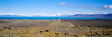 el calafate - Lago Argentino Los Glaciares National Park Patagonia, Argentina Foto de stock - Con derechos protegidos, Código: 700-00165846