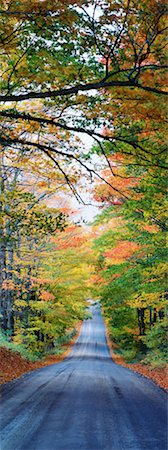 Road Through Autumn Forest Foto de stock - Con derechos protegidos, Código: 700-00165870