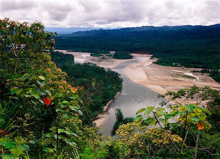 Overview of Manu River Manu, Peru Foto de stock - Con derechos protegidos, Código: 700-00165986