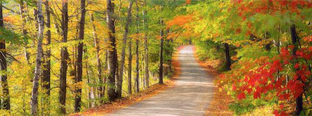 Country Road, Vermont, USA Foto de stock - Con derechos protegidos, Código: 700-00166979