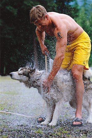 dog and hose - Man Washing Dog Outdoors Stock Photo - Rights-Managed, Code: 700-00167670