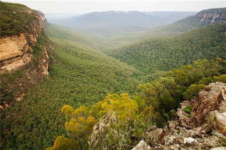 simsearch:841-06444981,k - Wentworth Falls, Blue Mountains New South Wales, Australia Foto de stock - Con derechos protegidos, Código: 700-00168487