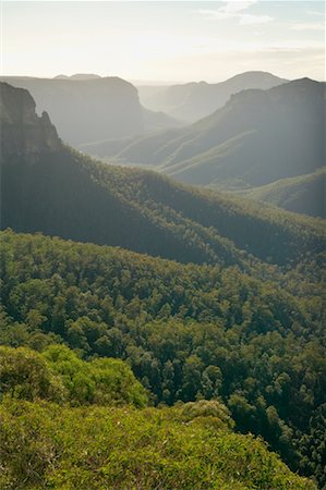 Govetts Pale Blue Mountains, Nouvelle Galles du Sud Australie Photographie de stock - Rights-Managed, Code: 700-00168517