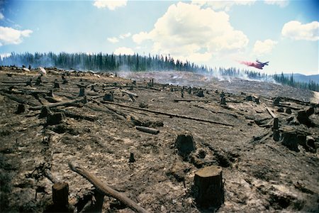 Plane Flying Over Forest Fire Foto de stock - Con derechos protegidos, Código: 700-00169019