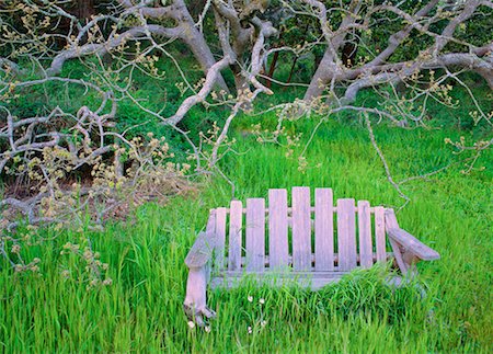 Garden Seat under Tree Hornby Island, British Columbia Stock Photo - Rights-Managed, Code: 700-00169384