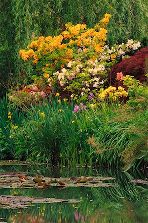 Claude Monet's Garden Giverny, France Fotografie stock - Rights-Managed, Codice: 700-00169458