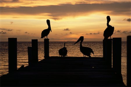 Sunset and Dock Stock Photo - Rights-Managed, Code: 700-00169696