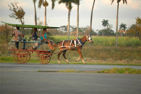 simsearch:700-03466713,k - Men Riding in a Horse-Drawn Carriage, Zapata Peninsula, Cuba Stock Photo - Rights-Managed, Code: 700-00160775