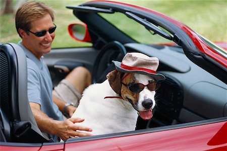 funny convertible car image - Man in Convertible with Dog Stock Photo - Rights-Managed, Code: 700-00161138